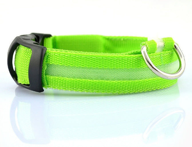 Safety Dog LED Collar